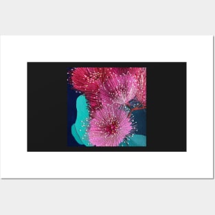 Australian Pink Gum Flowers by Leah Gay Posters and Art